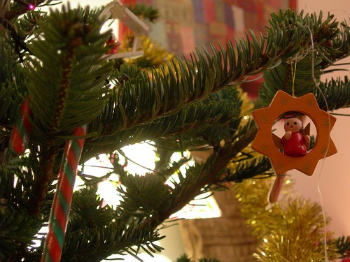 sapin2008