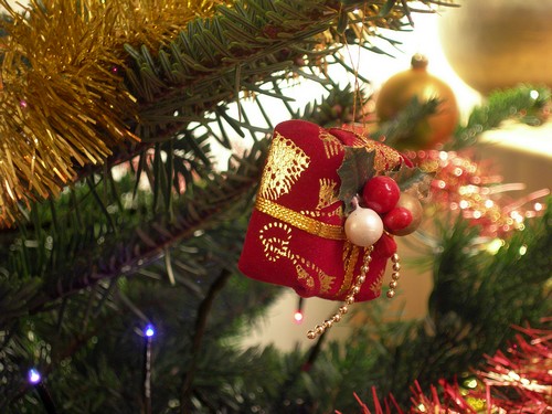 sapin2008