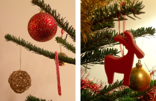 sapin2008_02