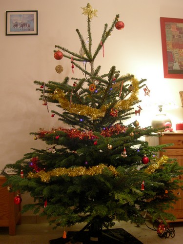sapin2008_03