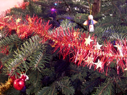 sapin2008_05