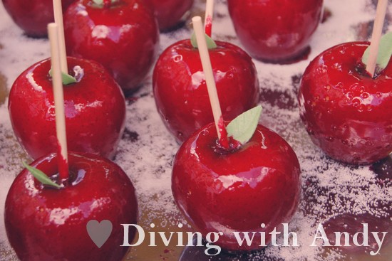 divingwithandy