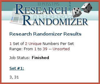 random331 random331