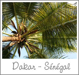 tag_dakar