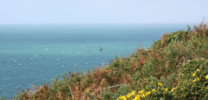 cotentin800