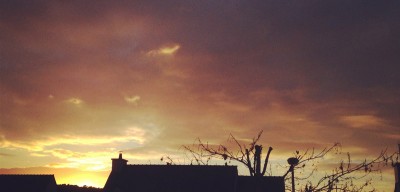 novembre801
