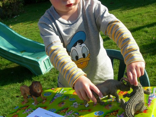 Miniloup a eu 3 ans