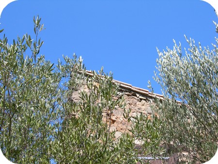 le refuge dans la garrigue