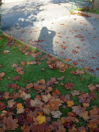 couleurs d'automne