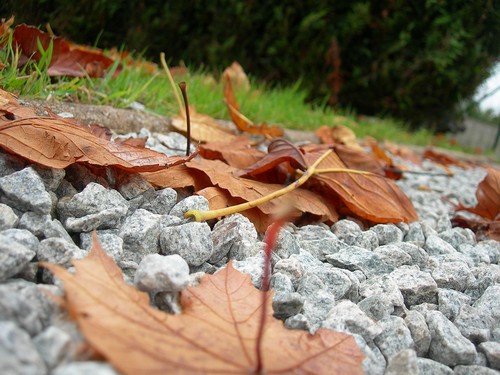 à la faveur de l'automne