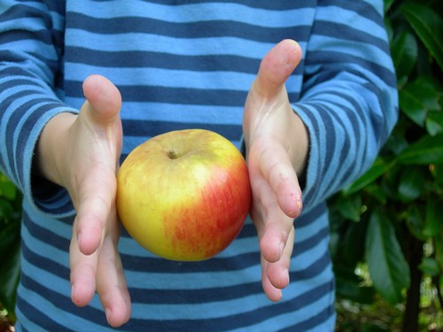 Petitou, Newton et sa pomme : même combat !