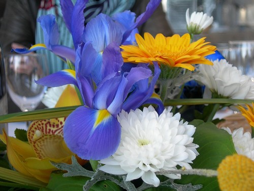 Des fleurs jaune et bleu, on est chez Ikea, ne l'oublions pas !
