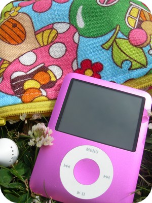 mon Ipod (02)