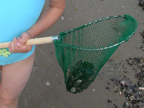 Bonne pêche !