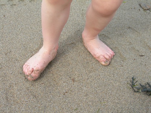 Pitits pieds de Miniloup