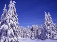 hiver
