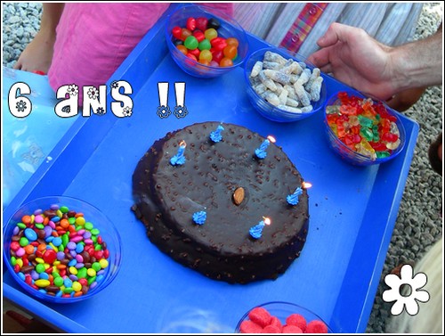 gatoanniv