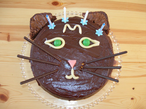 gatochaton
