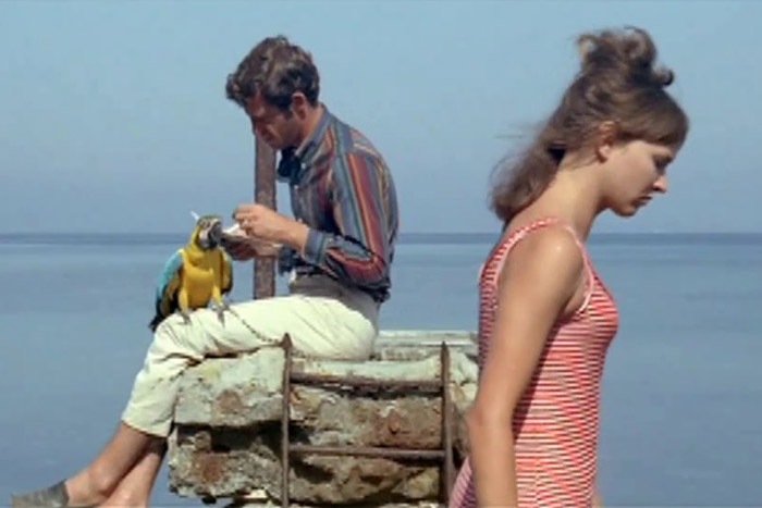 pierrotlefou