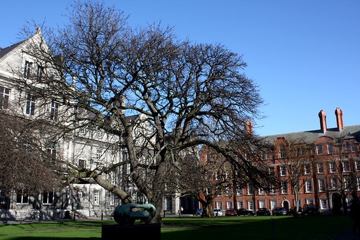 Trinity College Dublin