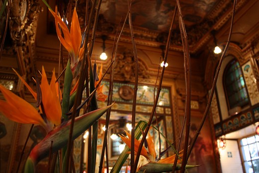 La Cigale - restaurant salon de thé depuis 1895 - Nantes