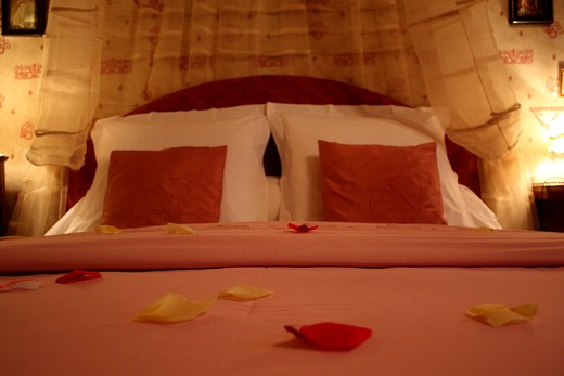 Château de l'Abbaye de Moreilles - Vendée - chambre coquelicot