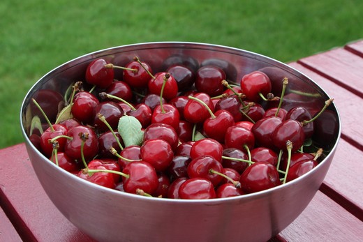 un plein saladier de cerises