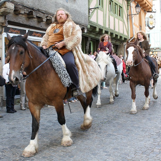 chevaux - fêtes historiques de Vannes - juillet 2009