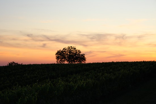 sunset01