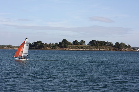 catagolfe - Golfe du Morbihan