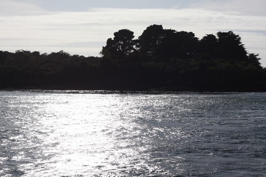 Golfe dans le soleil