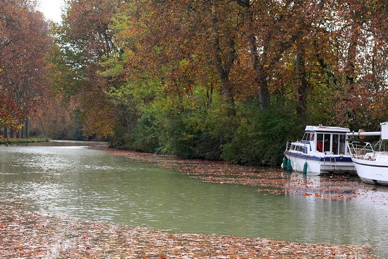 le long du canal du midi - Toulouse