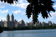 centralpark00