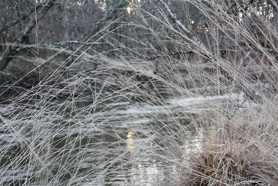 riviere