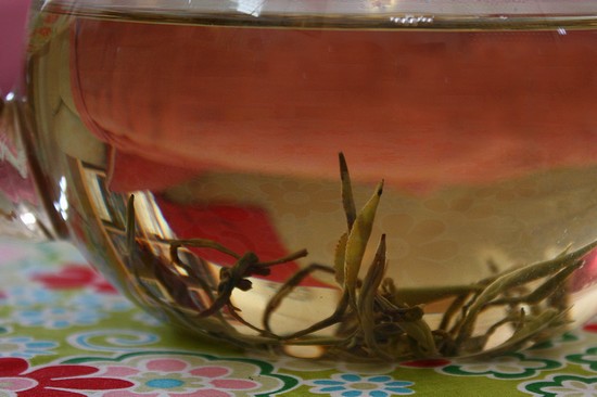 chinese jasmin tea