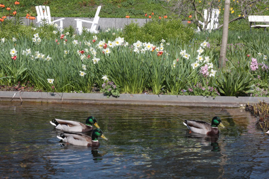 Hambourg - park planten und blümen