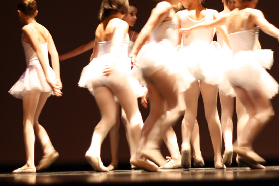 petits04