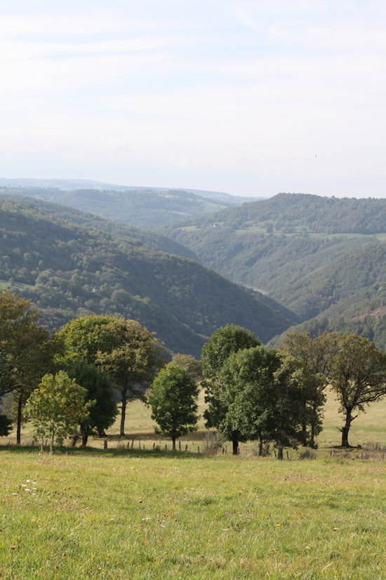 cantal10