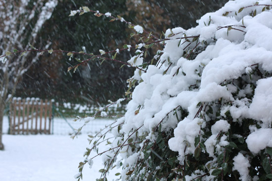 neige03