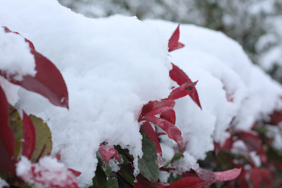 neige04