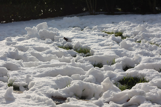 snow01