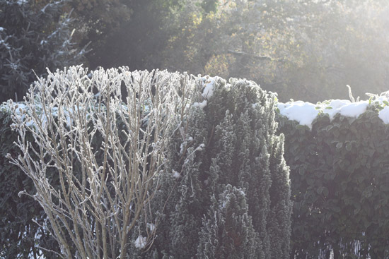 snow03