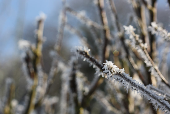 snow04