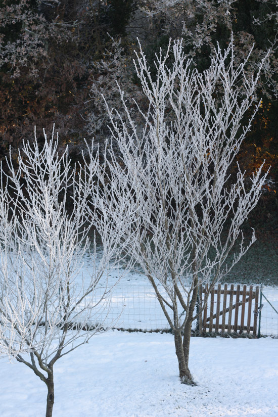 snow05