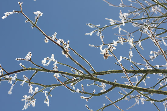 snow08