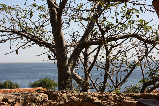goree03