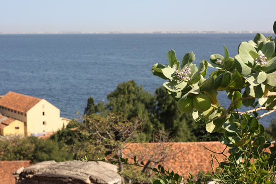 goree05
