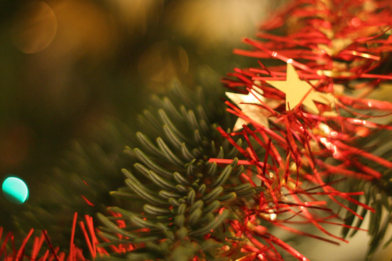 noel05