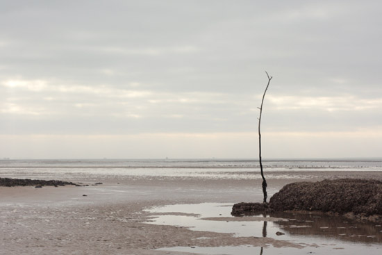 ildere04