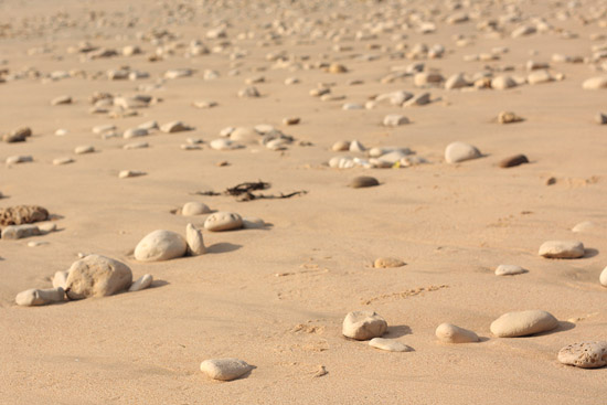 iledere02